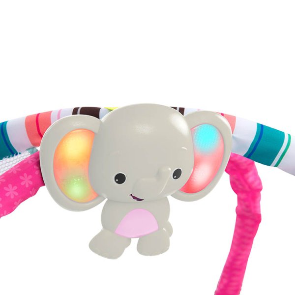 画像17: ピンク・5-in-1　ヨアウェイ・ボール・プレイジム (17)