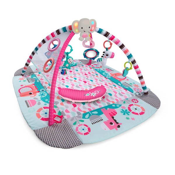 画像5: ピンク・5-in-1　ヨアウェイ・ボール・プレイジム (5)