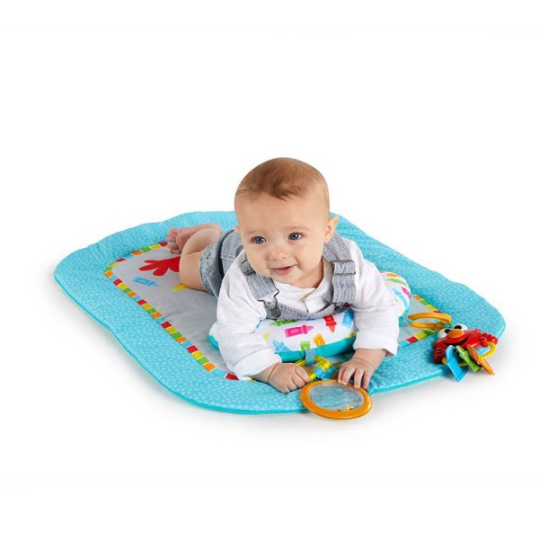 画像3: アイスポット・エルモ・プロップマット (3)