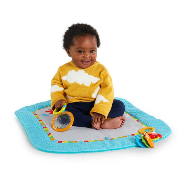 画像7: アイスポット・エルモ・プロップマット (7)