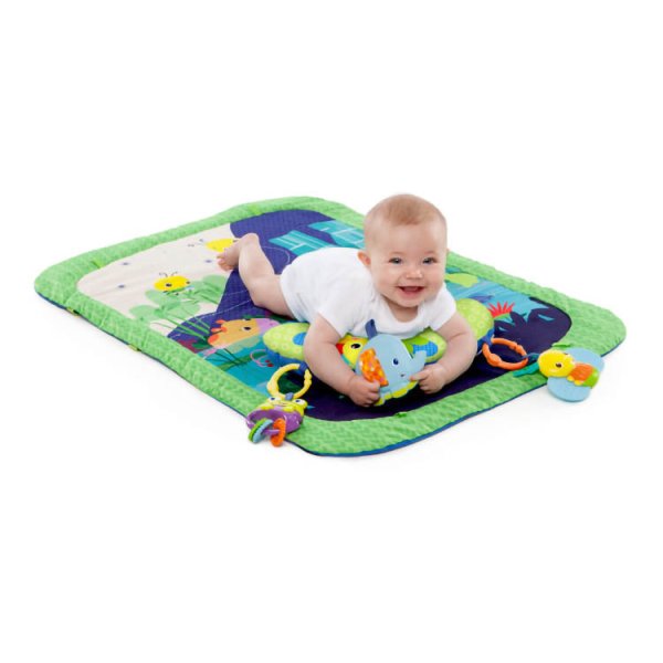 画像4: **ライトアップラグーン・アクティビティジム (4)