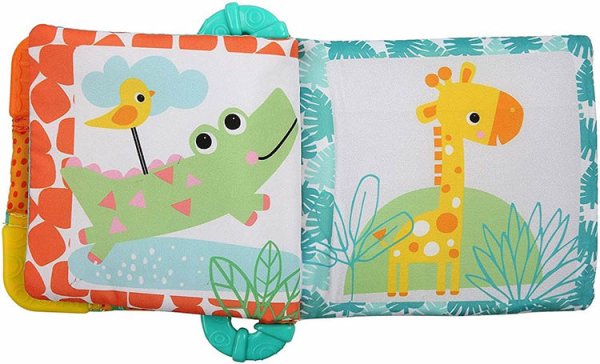 画像4: ティーズ＆リード (4)