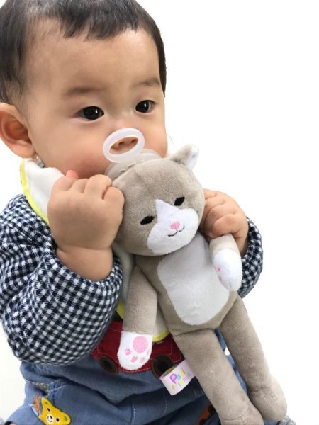 画像8: パシフレンズ (くま) (8)