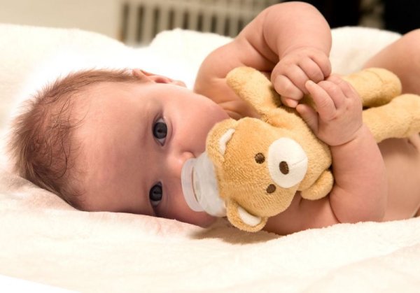 画像9: パシフレンズ (くま) (9)